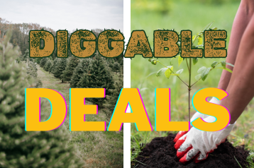Diggable Deals