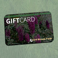 Gift Card (Digital)